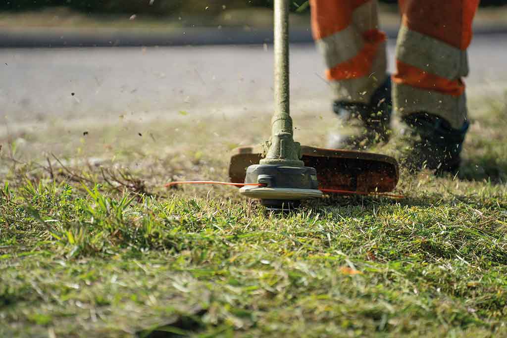 Grounds maintenance project